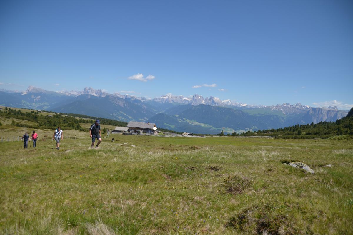 Latschenbrennerei und Platzer Alm 23.06.2020